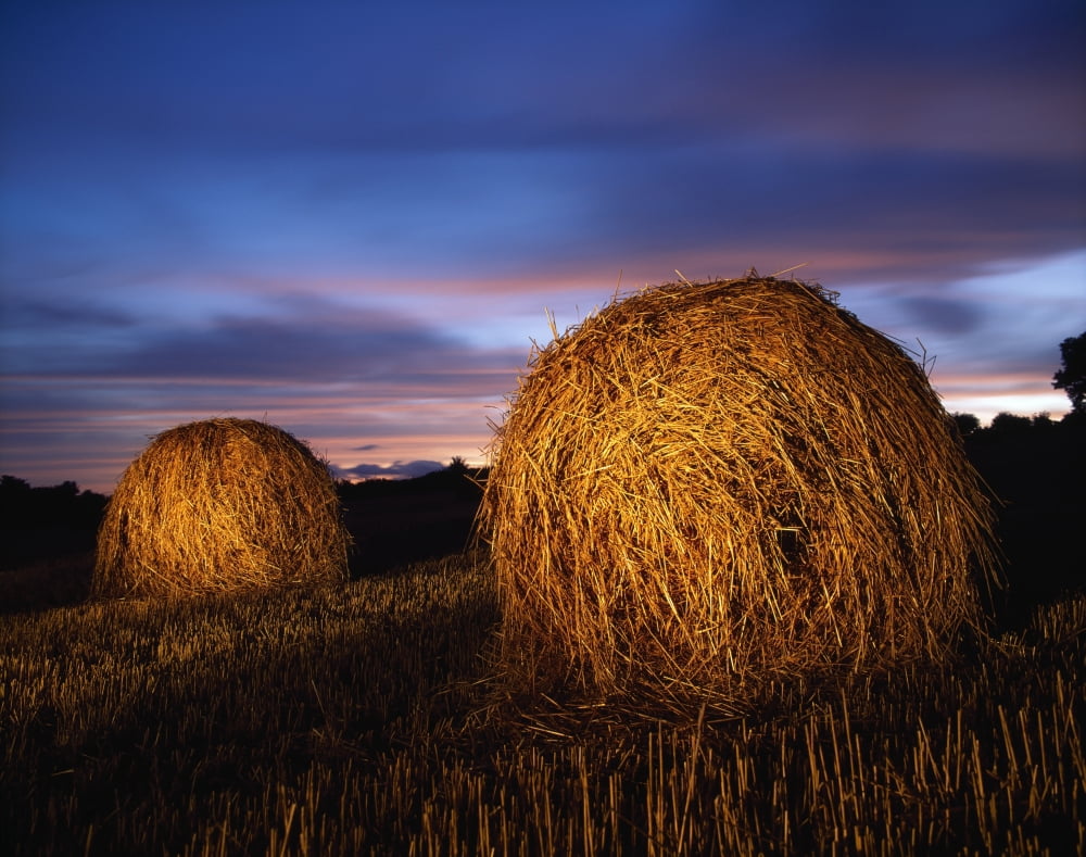 Ireland Hay Bales Canvas Art - Richard Cummins Design Pics (17 x 13)