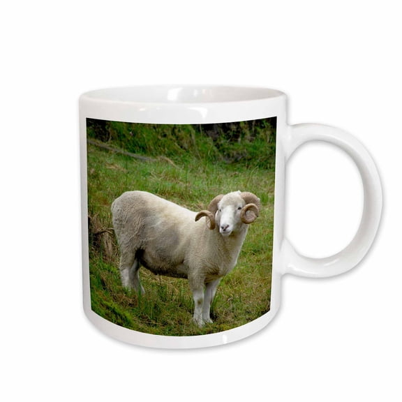 3drose, Ireland, Ring of Kerry, Sheep Ranch Ram - Eu15 Cmi0019 - Cindy Miller Hopkins, 11oz Mug