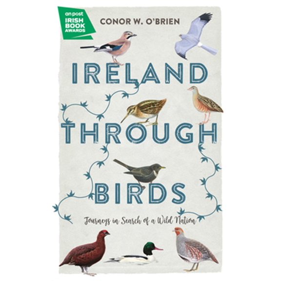 Pre-Owned Ireland Through Birds : Journeys in Search of a Wild Nation (Paperback)