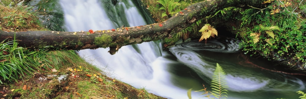 Ireland Waterfall Canvas Art - The Irish Image Collection Design Pics (34 x 11)