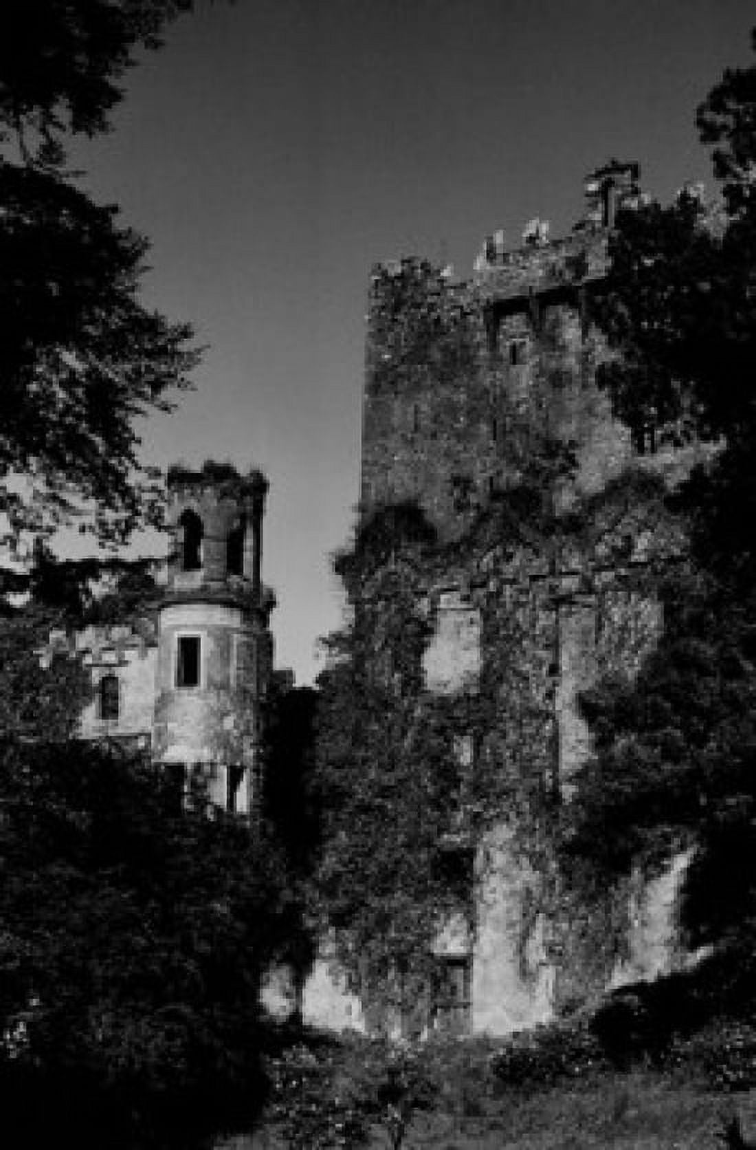 Ireland castle overgrown with ivy Canvas Art - (24 x 36)