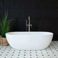 thumbnail image 1 of Irelia 65 Inch Resin Double Ended Tub, 1 of 2