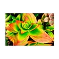 thumbnail image 1 of Irena Orlov 'Bright Exotic II' Canvas Art, 1 of 1