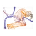 thumbnail image 1 of Irena Orlov 'Dynamic Movement VIII' Canvas Art, 1 of 4