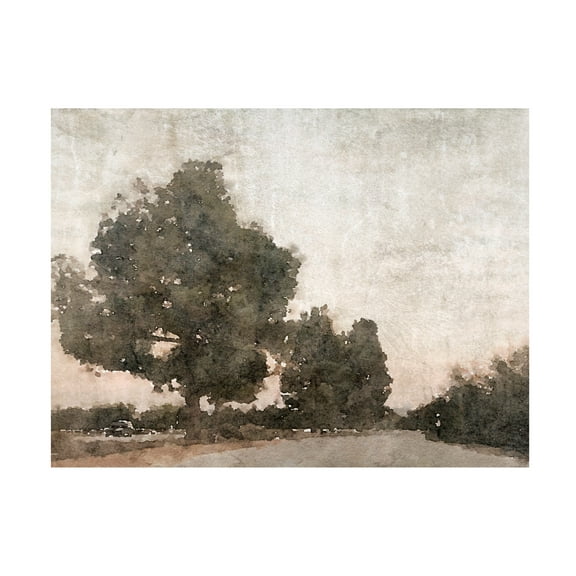 Irena Orlov 'November Morning Mist III' Canvas Art