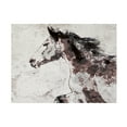 thumbnail image 1 of Irena Orlov 'Winner Horse I' Canvas Art, 1 of 3