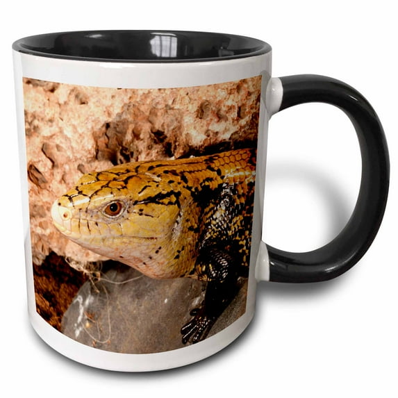 3drose, Irian Jaya Blue Tongue Skink, Lizard, Irian Jaya - Na02 Dno0872 - David Northcott, 15oz Two-tone Black Mug