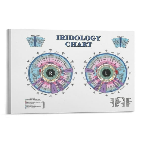 Iridology Chart Poster Iridology Knowledge Guide Poster Canvas Wall Art Posters For Room Aesthetic And Decor Poster For Bedroom Bathroom Living Room Office Kitchen Decor