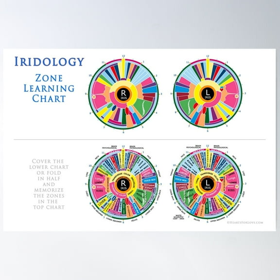 Iridology Zone Learning Chart, An Educational Mnemonic Device. Poster Wall Art, Modern Wall Decor For Living Room Bedroom, 8x12 UNFRAMED