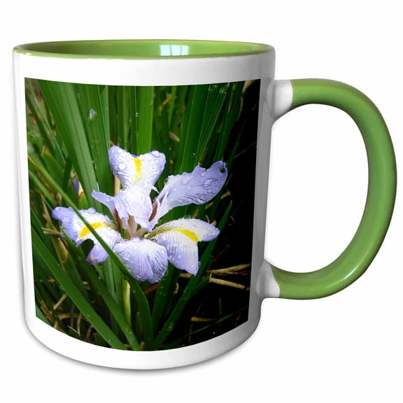 3drose, Iris, 11oz Two-tone Green Mug