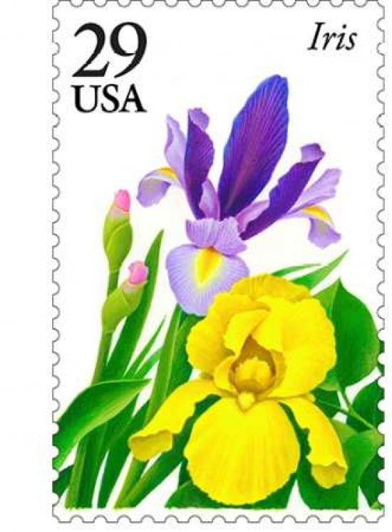 Iris 29 Canvas Art - US POSTAL SERVICE (18 x 24)