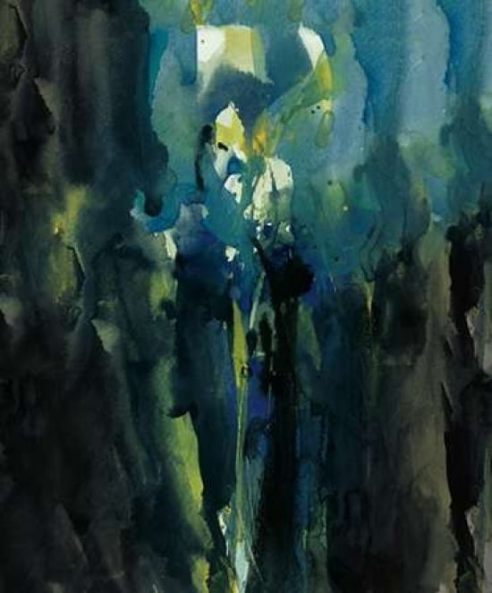 Iris Canvas Art - David Ross (20 x 24)