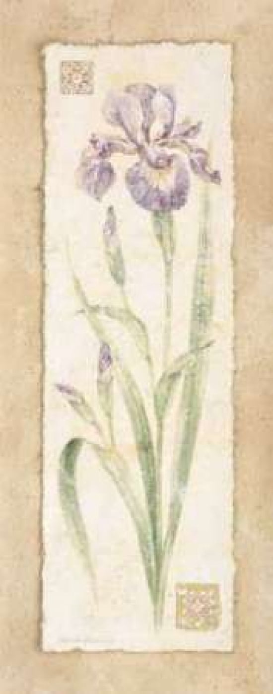 Iris Canvas Art - Pamela Gladding (10 x 20)