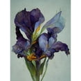 thumbnail image 1 of Iris Floral Modern Watercolour Unframed Wall Art Print Poster Home Decor, 1 of 3