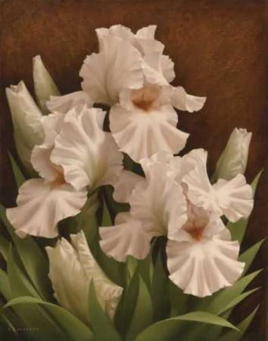Iris Illumination I Canvas Art - Igor Levashov (22 x 28)