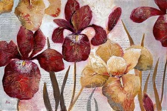 Iris Inspirations Canvas Art - Nan (12 x 18)