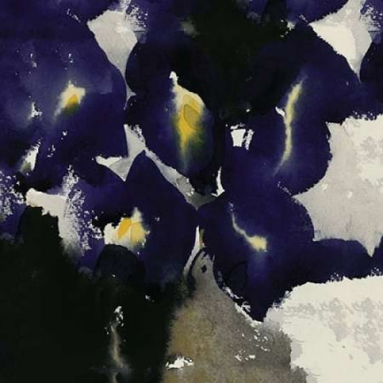 Iris Laevigata Canvas Art - David Ross (24 x 24)