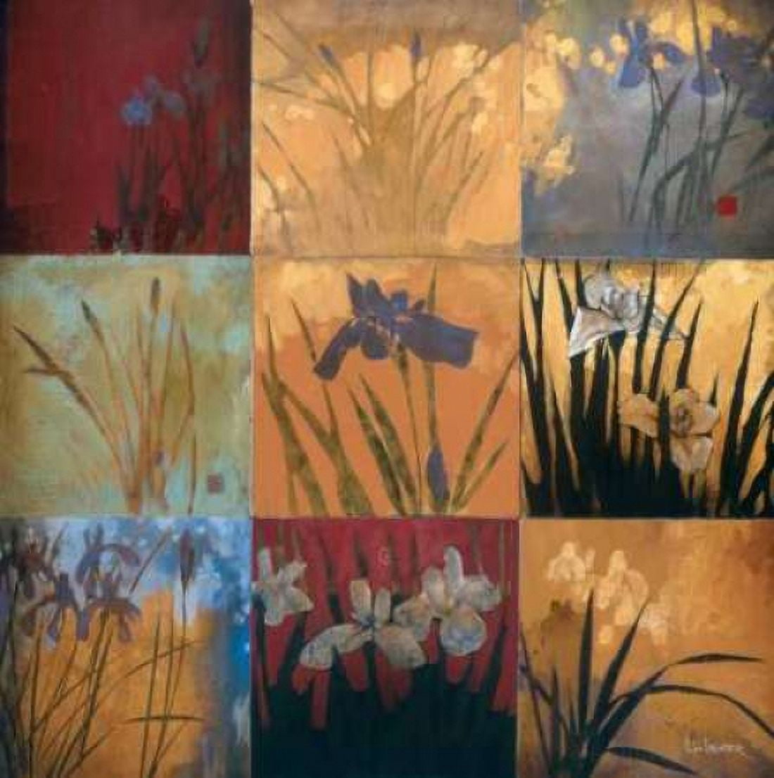 Iris Nine Patch II Canvas Art - Don Li-Leger (24 x 24)