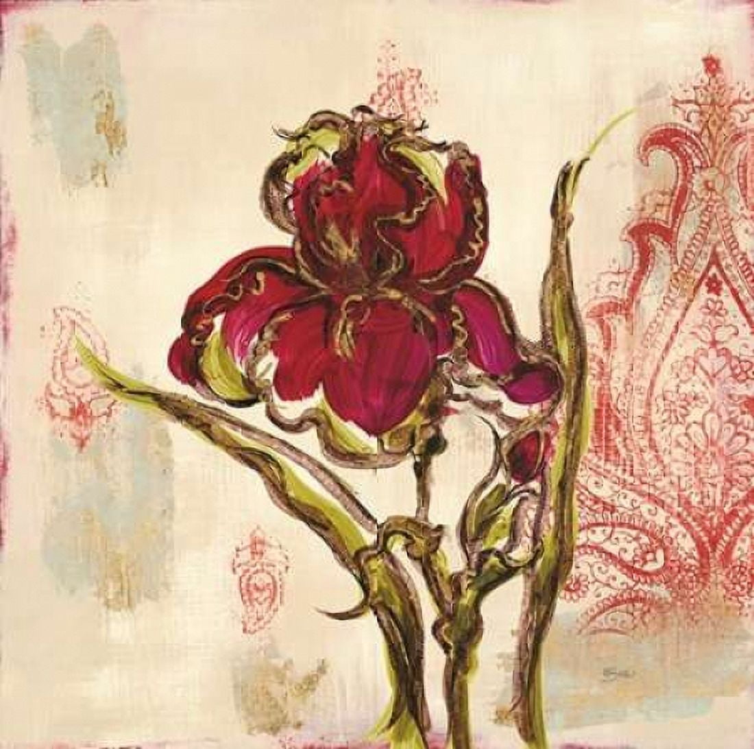 Iris Paisley 2 Canvas Art - Bella Dos Santos (24 x 24)