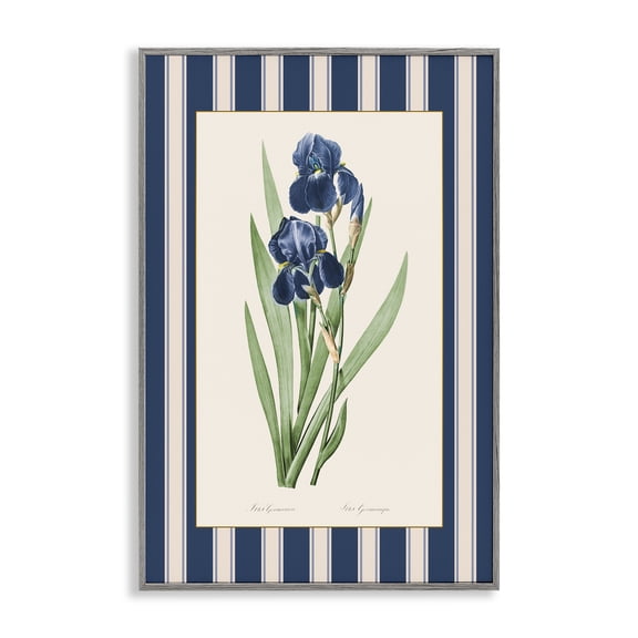 Stupell Industries Iris Study over Stripes Gray Framed Giclee Art, design by Corinne Haig, 30 x 20