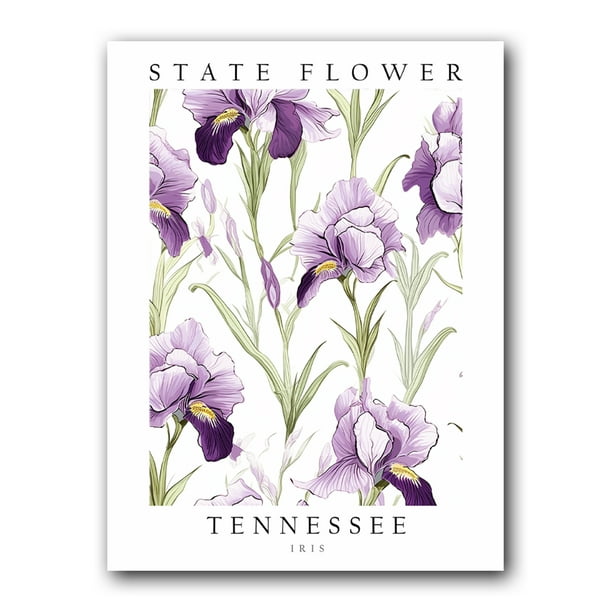 Iris, Tennessee State Flower, Poster Print, Wall Décor - Walmart