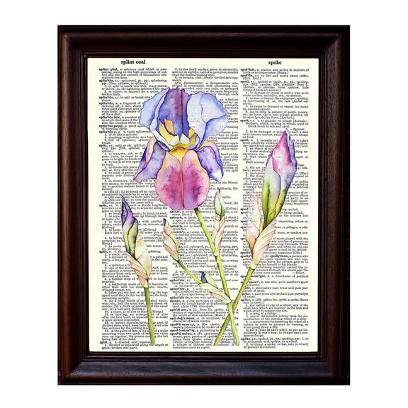 Iris Watercolor - Dictionary Art Print Printed On Authentic Vintage Dictionary Book Page - 8 x 10.5