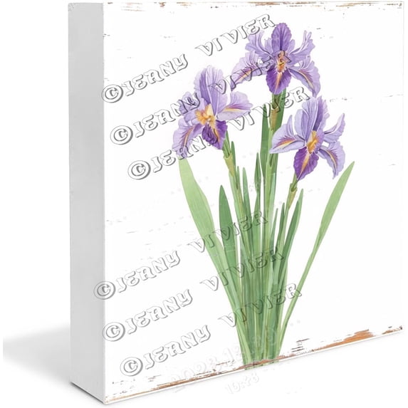 Iris Wooden Box Sign Iris Gifts Funny Flower Shelf Decor Boho Chic Decor Shelf Decor Accents Wood Block Signs Housewarming Gifts 7x7 In