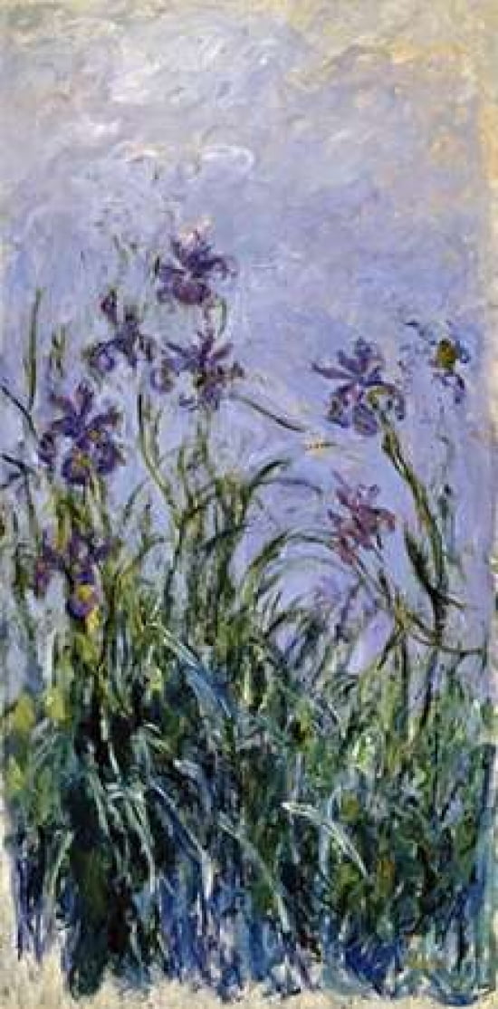 Iris mauves Canvas Art - Claude Monet (24 x 48)