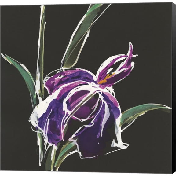Iris on Black III by Chris Paschke, Canvas Wall Art