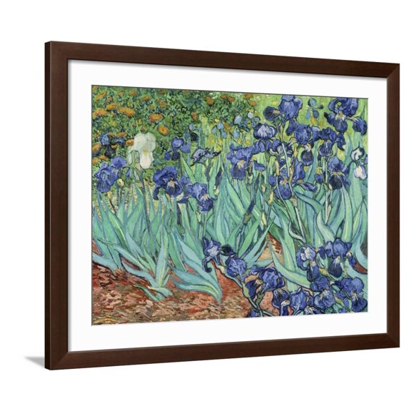 Art.com Irises, 1889 Giclee Print by Vincent van Gogh, Brown Frame Wall Art, 40" x 32"