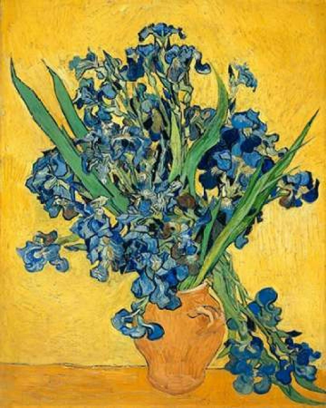 Irises 1890 Canvas Art - Vincent Van Gogh (24 x 30)