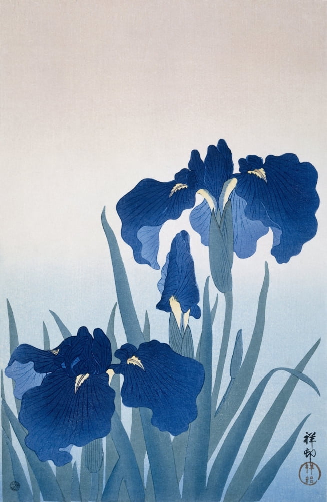 Irises Canvas Art - (18 x 24)