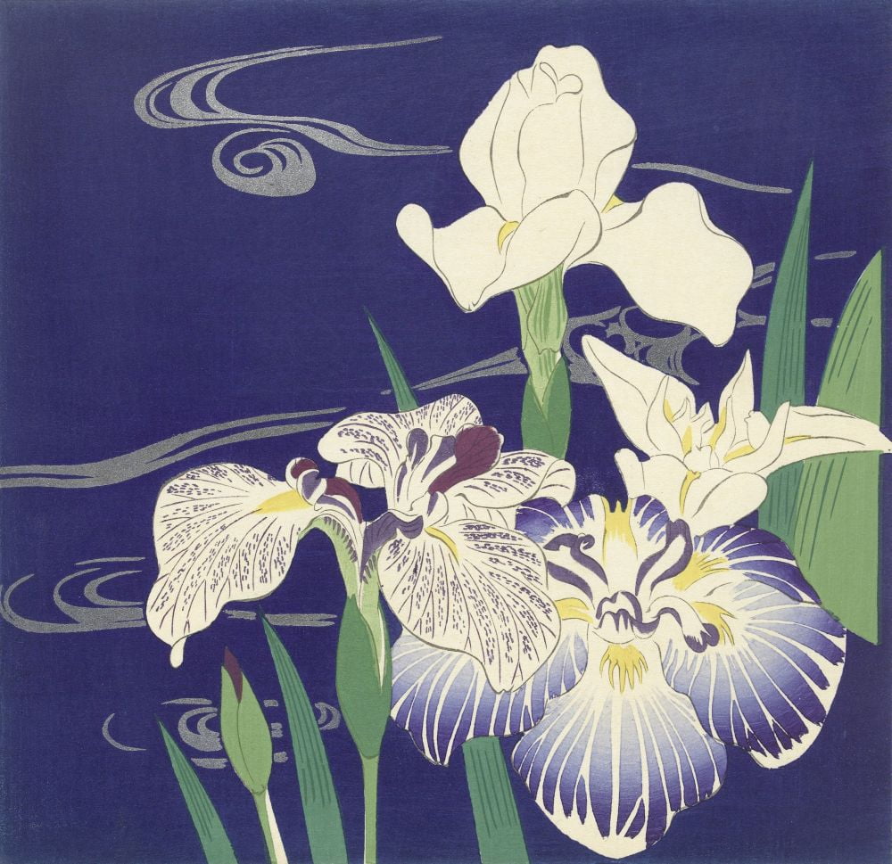 Irises Canvas Art - (24 x 18)