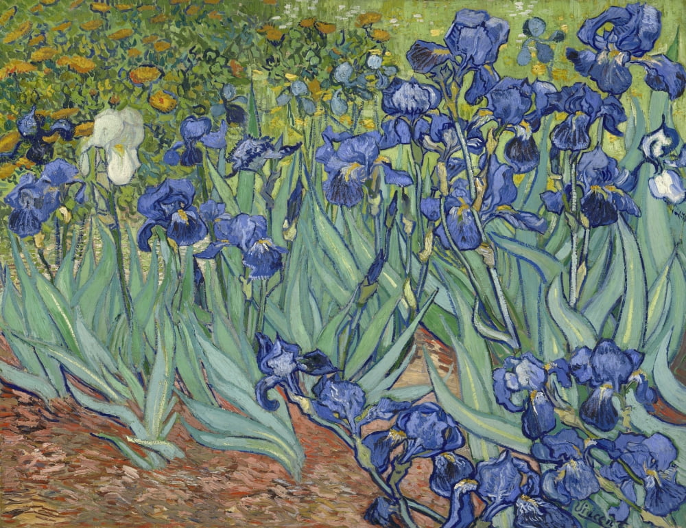 Irises Canvas Art - (24 x 18)