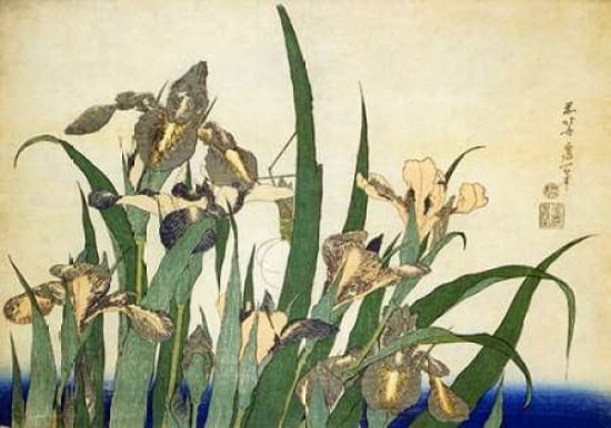 Irises Canvas Art - Hokusai (12 x 18)