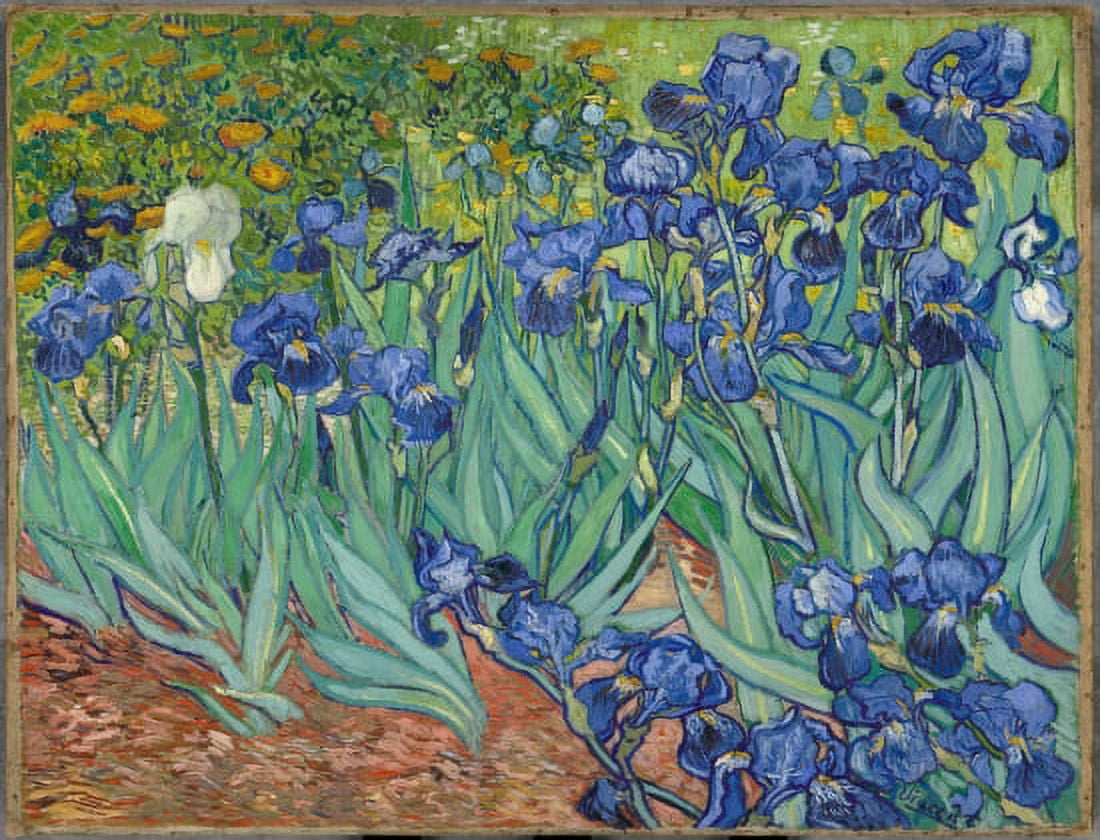 Irises Canvas Art - Vincent Van Gogh (18 x 24)
