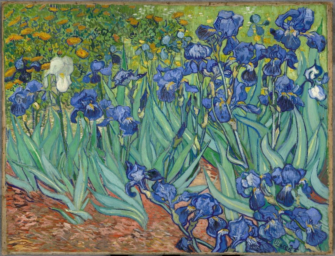 Irises Canvas Art - Vincent Van Gogh (36 x 54)