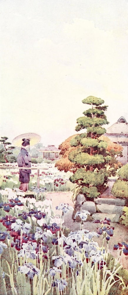 Irises Flowers & Gardens of Japan 1908 Canvas Art - Ella Du Cane (18 x 24)