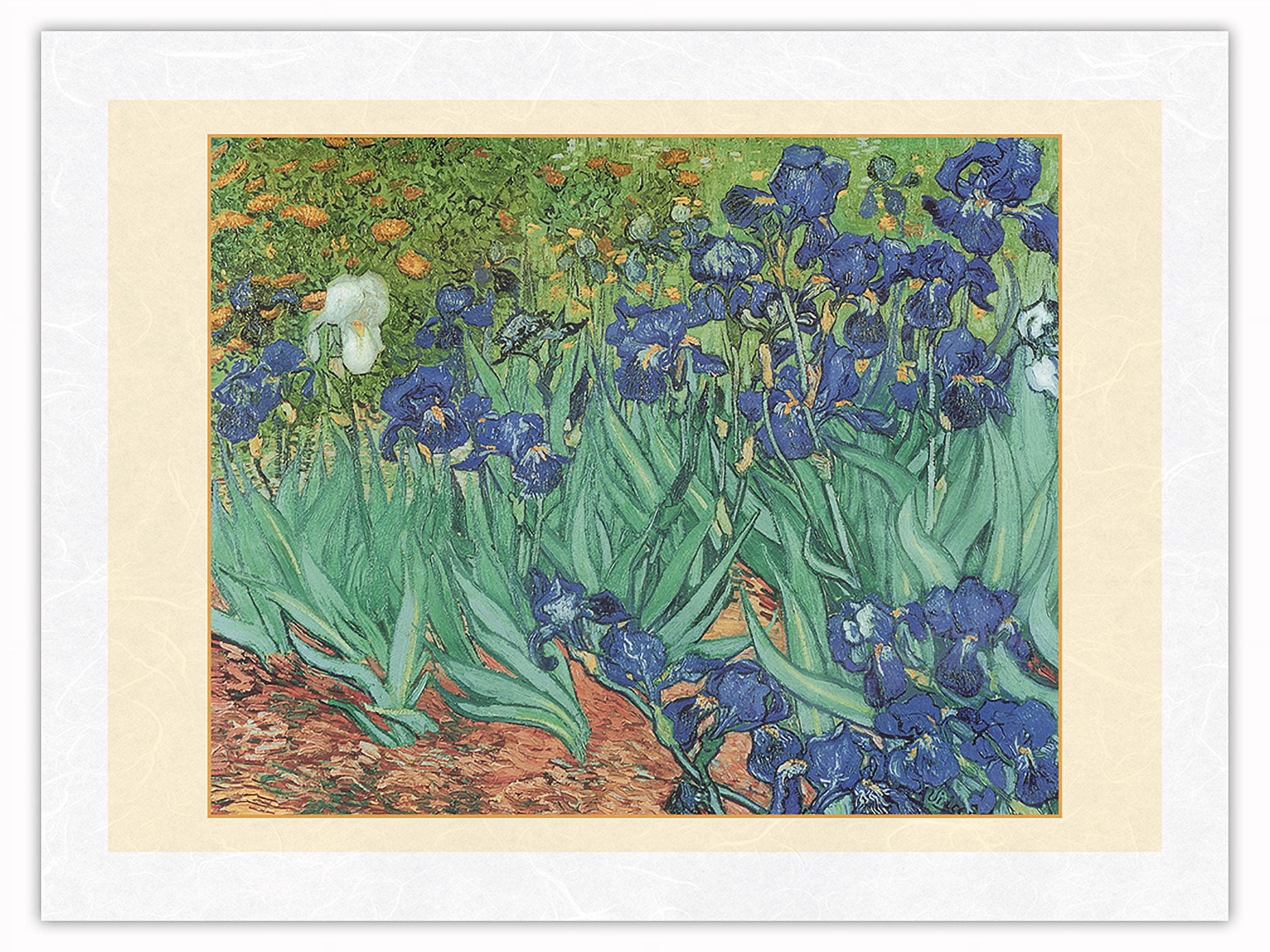 Irises - From an Original Color Painting by Vincent Van Gogh c.1889 ...
