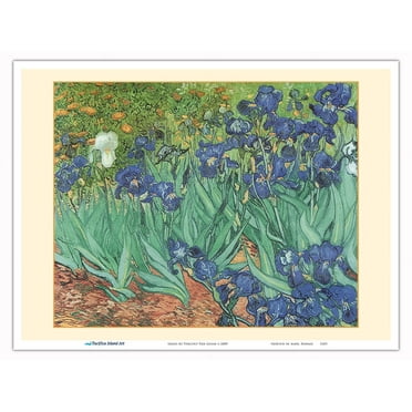 Irises - From an Original Color Painting by Vincent Van Gogh c.1889 - Master Art Print (Unframed) 9in x 12in