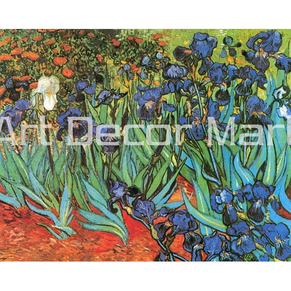 Irises Van Gogh - CANVAS OR FINE PRINT WALL ART