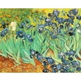 thumbnail image 1 of Irises Van Gough - CANVAS OR FINE PRINT WALL ART, 1 of 1