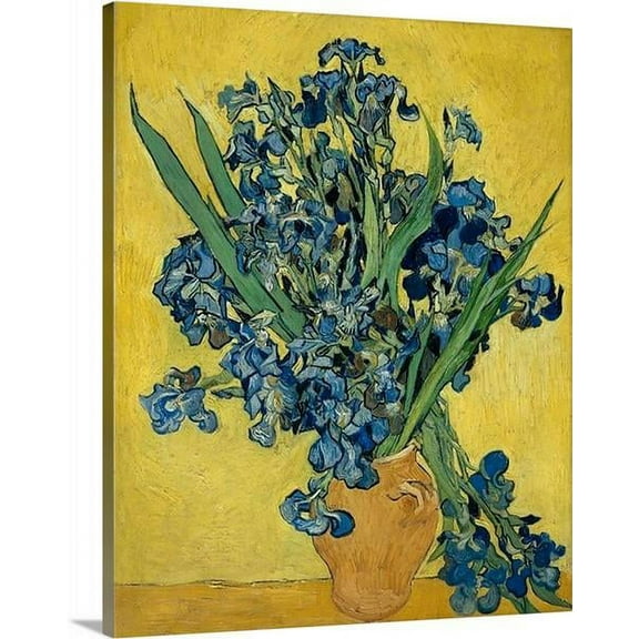Irises by Vincent VAn Gogh Irises Vincent VAn Gogh Classic Art Canvas