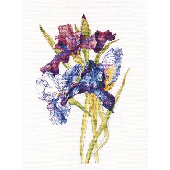 Irises Rainbow Counted Cross Stitch Kit-10.5x14.25 14 Count