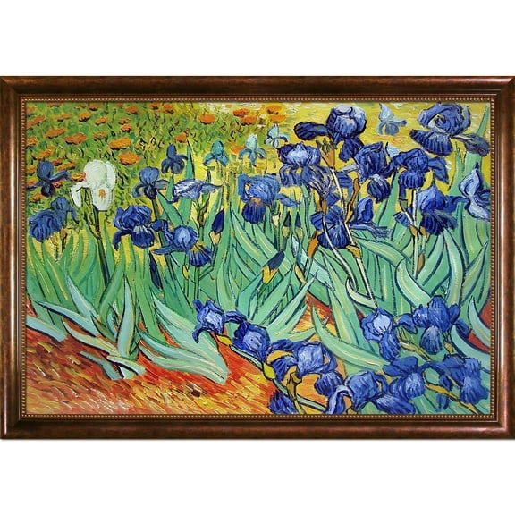 Irises with Verona Cafe Frame 24"X36"