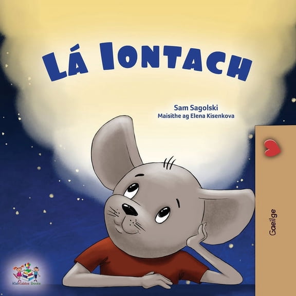 Irish Bedtime Collection A Wonderful Day (Irish Book for Children), (Paperback)