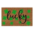Irish Day Floor Mats Holiday Mats Door Mats Polyester Door Mats