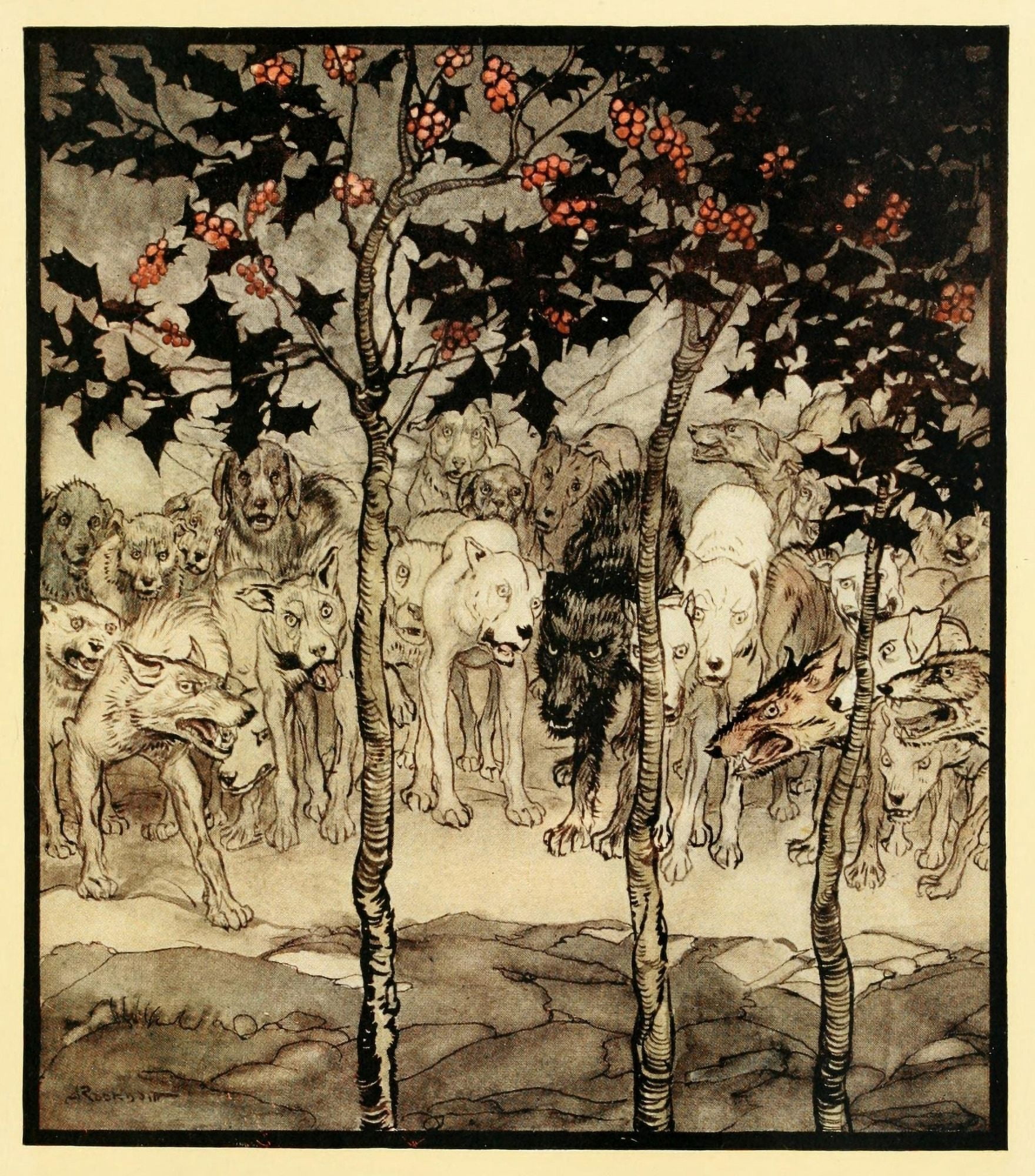 Irish Fairy Tales 1920 Savagery & Terror Canvas Art - A Rackham (24 x 36)