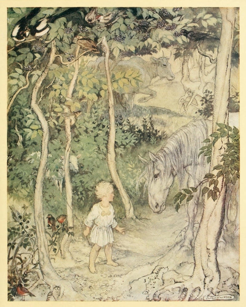 Irish Fairy Tales 1920 Staring Horse Canvas Art - A Rackham (24 x 36)