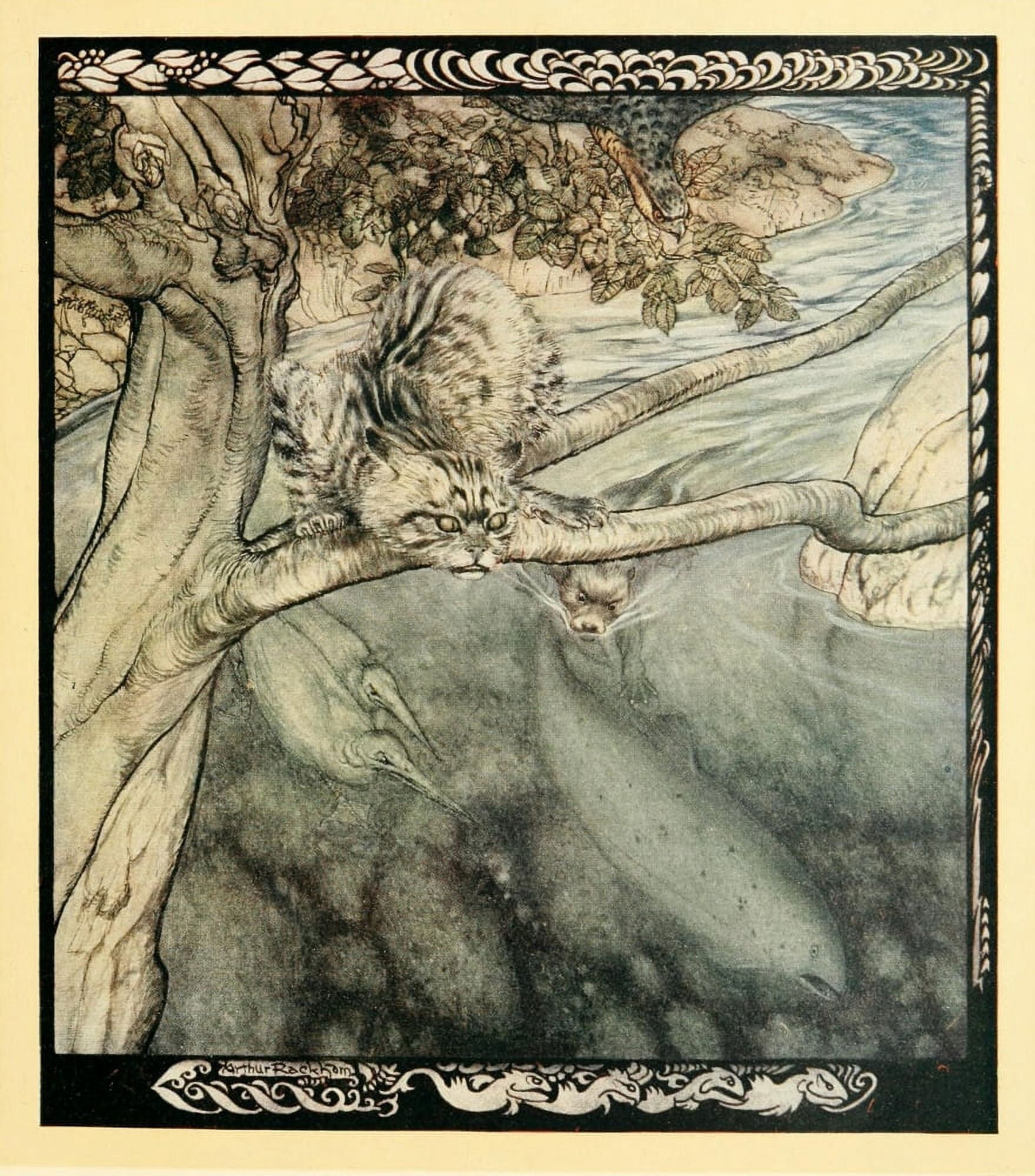 Irish Fairy Tales 1920 Tuan Mac Cairill cat Canvas Art - A Rackham (18 x 24)